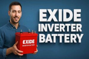 exide inverter battery