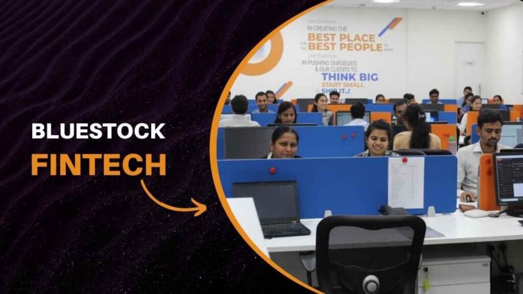bluestock fintech